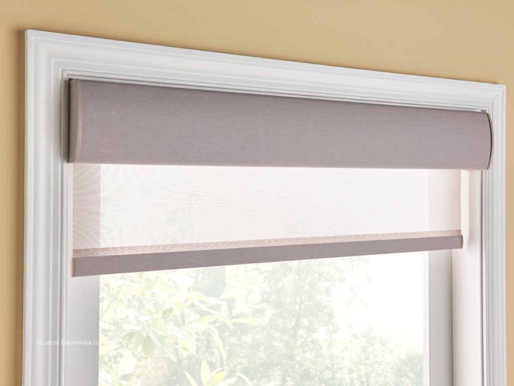 lutron roller shades | shades for office windows